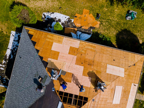 Roof Gutter Cleaning in Edina, MN