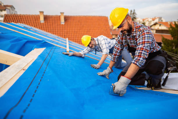 Professional Roofing Contractor in Edina, MN