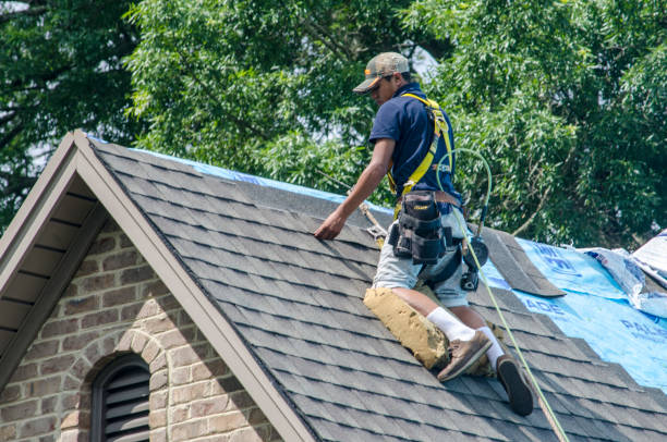 Best Roof Waterproofing Services  in Edina, MN